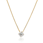 Collar Punto De Luz 7 de Oro Laminado 18K de AMBAR Joyería Fina