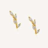 Aretes Bali Trepadores