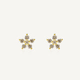 Aretes Florecita Dani