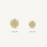 Aretes Roseta Emy Cristal