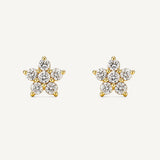 Aretes Roseta Stella Cristal