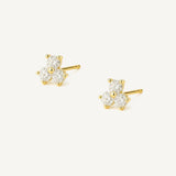 Aretes Trébol Petit Circonita